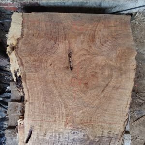oak slab N1000-01