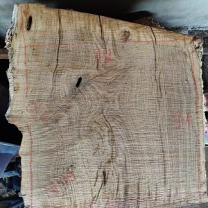 oak slab N1000-08