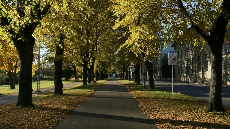 16. oktoober Eestis: koolivaheaeg ja sügise rütm